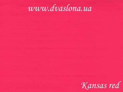 Шкірзам Kansas