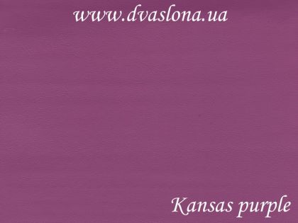 Шкірзам Kansas