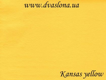 Шкірзам Kansas